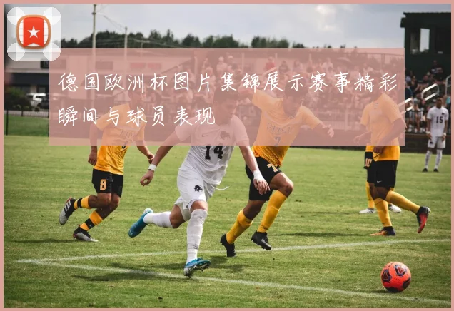德国欧洲杯图片集锦展示赛事精彩瞬间与球员表现