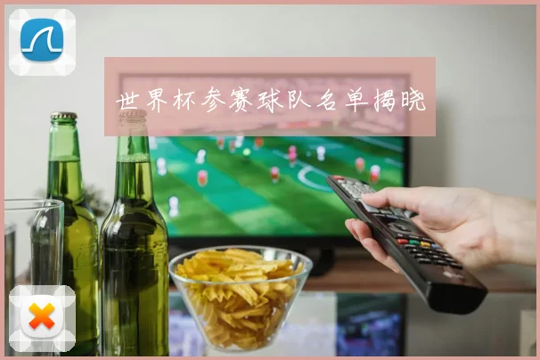 世界杯参赛球队名单揭晓