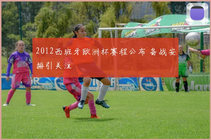 2012西班牙欧洲杯赛程公布 备战安排引关注