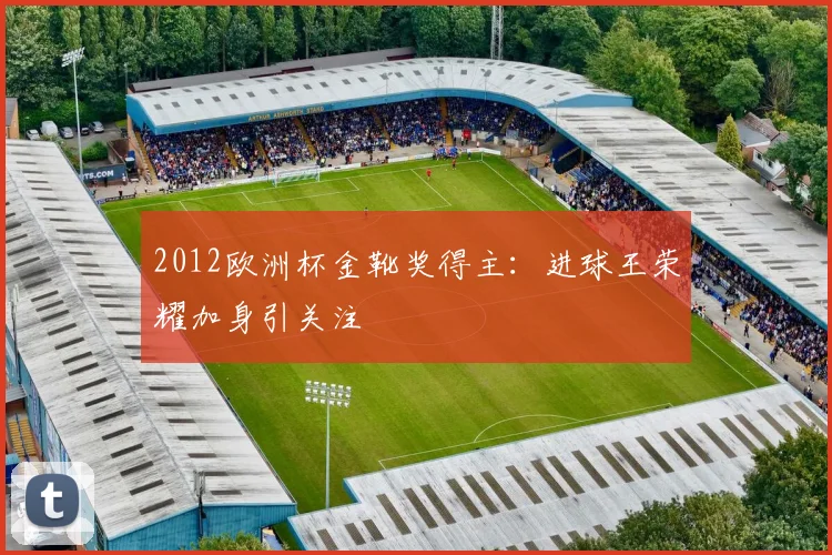 2012欧洲杯金靴奖得主:进球王荣耀加身引关注